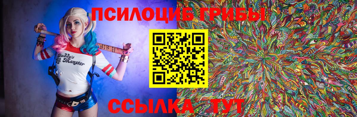 Псилоцибиновые грибы мицелий  где найти наркотики  Нижнекамск  Вход с VPN 